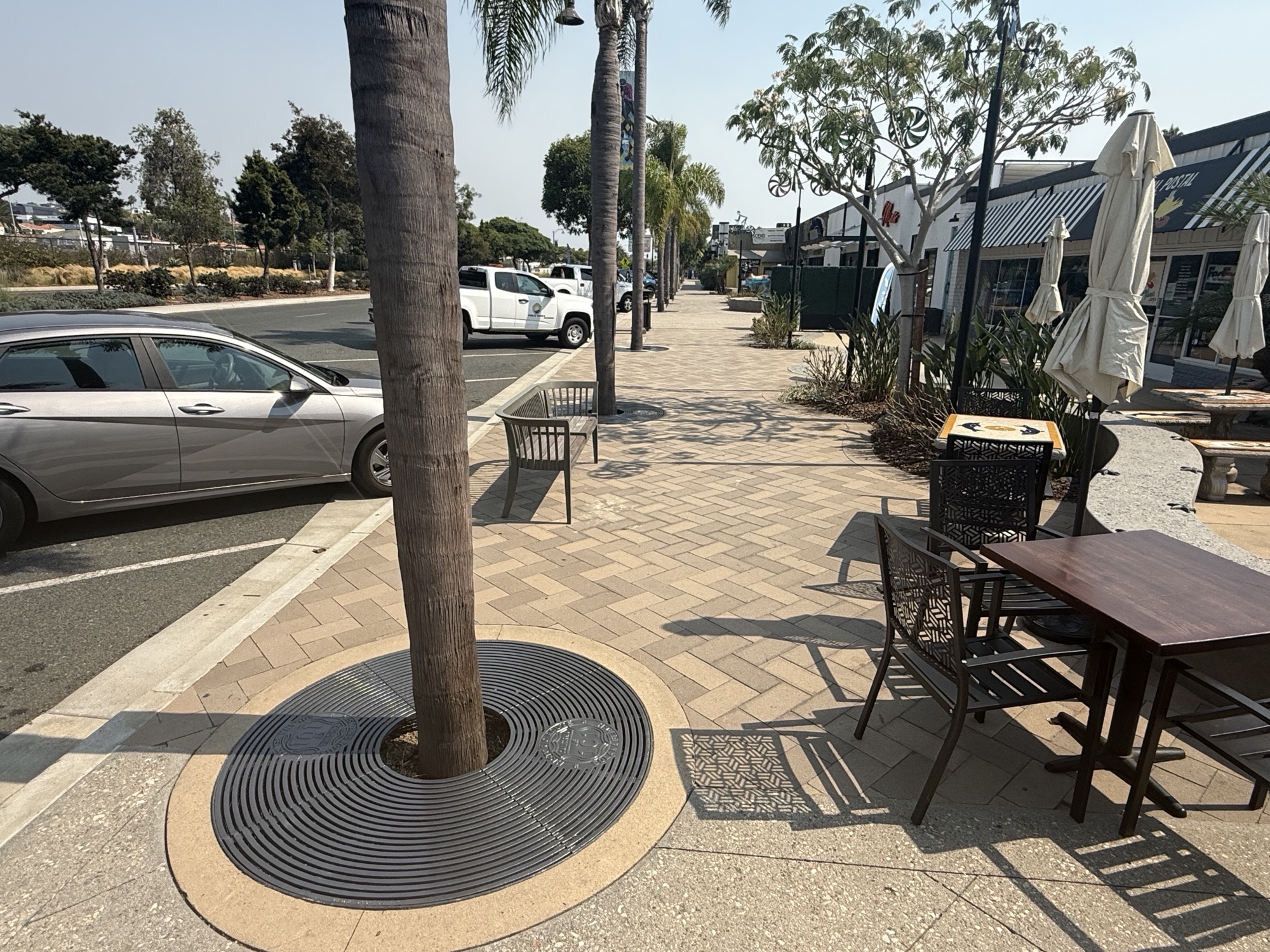 Tree Grate Replacement Project Underway on Highway 101