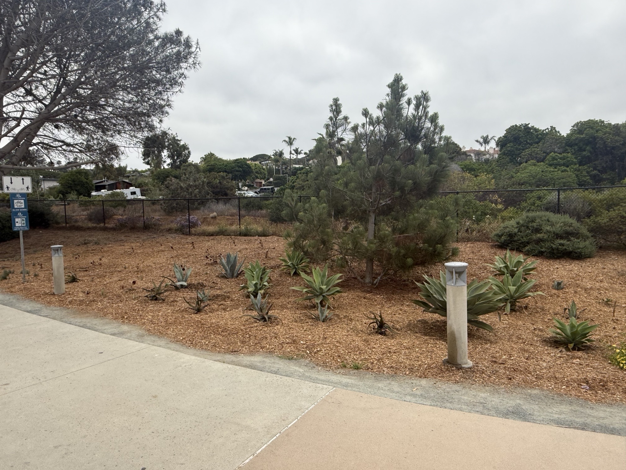 Repurposed Succulents Find a New Home  Along the Coastal Rail Trail