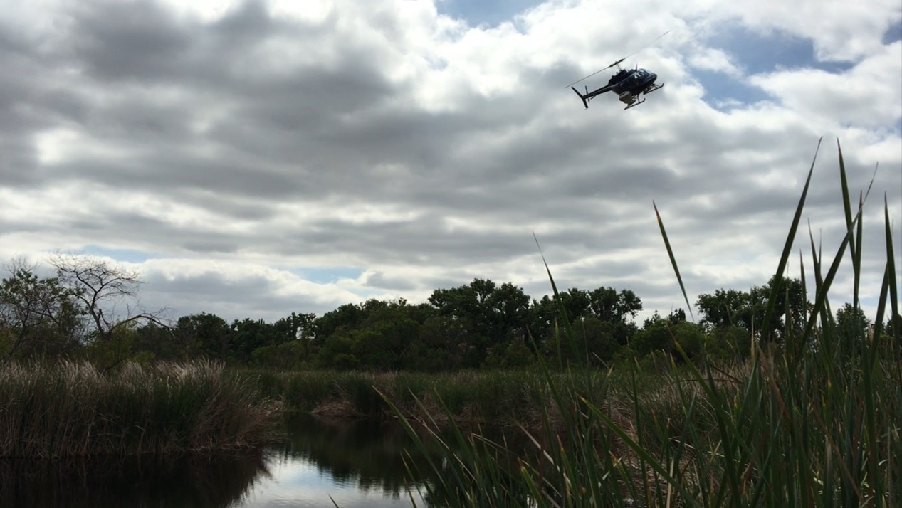 Larvicide Helicopter Drop