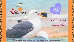 Wildlife Jewels® Sweep & Learn for Wildlife Beach Cleanup  Walk Solana Beach