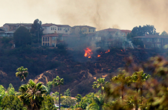 Wildfire
