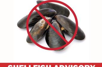 CDPH Warns Public Not to Consume Sport-Harvested Bivalve Shellfish from San Diego County​