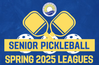 Pickleball poster