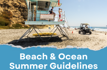 Beach Safety