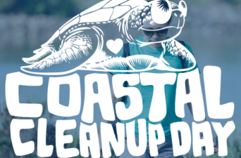 coastal cleanup