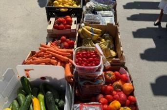 Free Farmers Market