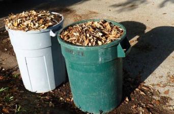 Yard leaves