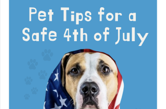 Fourth of July Pet Safety
